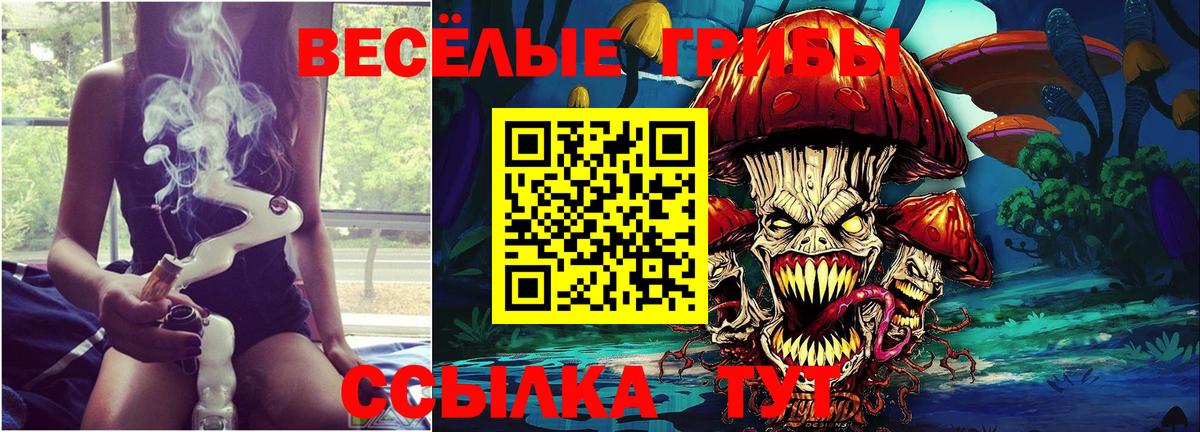 Галлюциногенные грибы Magic Shrooms Чайковский